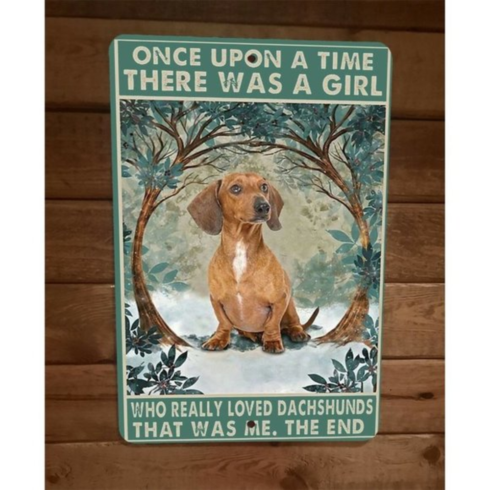 Once Upon a Time Girl Loved Dachshund Wiener Dogs 8x12 Metal Wall Animal Sign‎